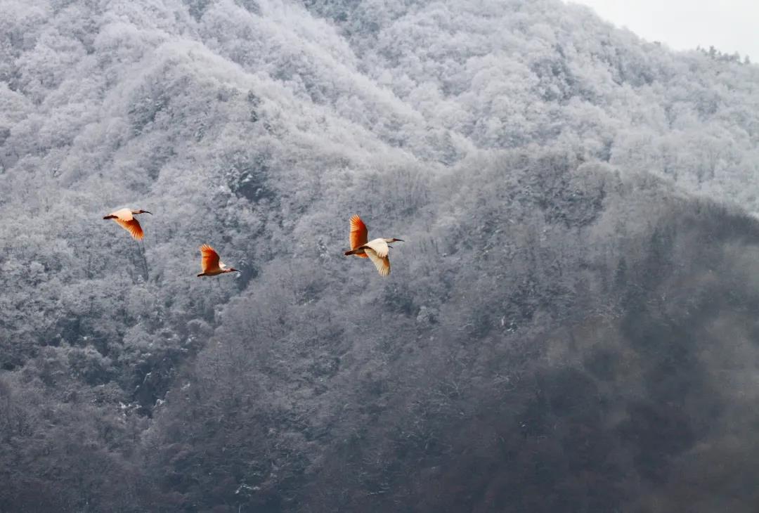 1638346788780529.jpg 微信图片_20211201161850.jpg