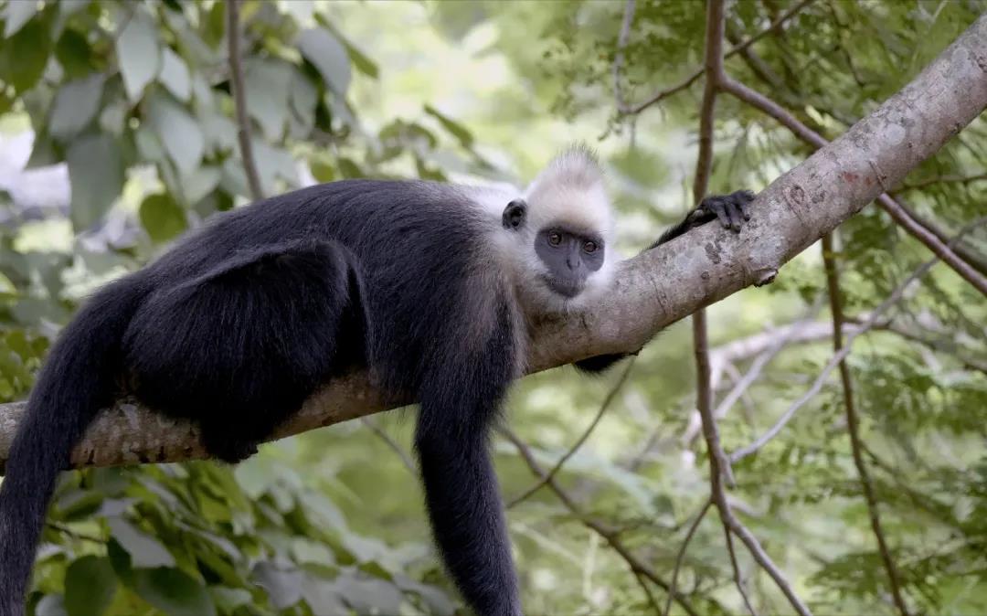 1638346808956026.jpg 微信图片_20211201161955.jpg