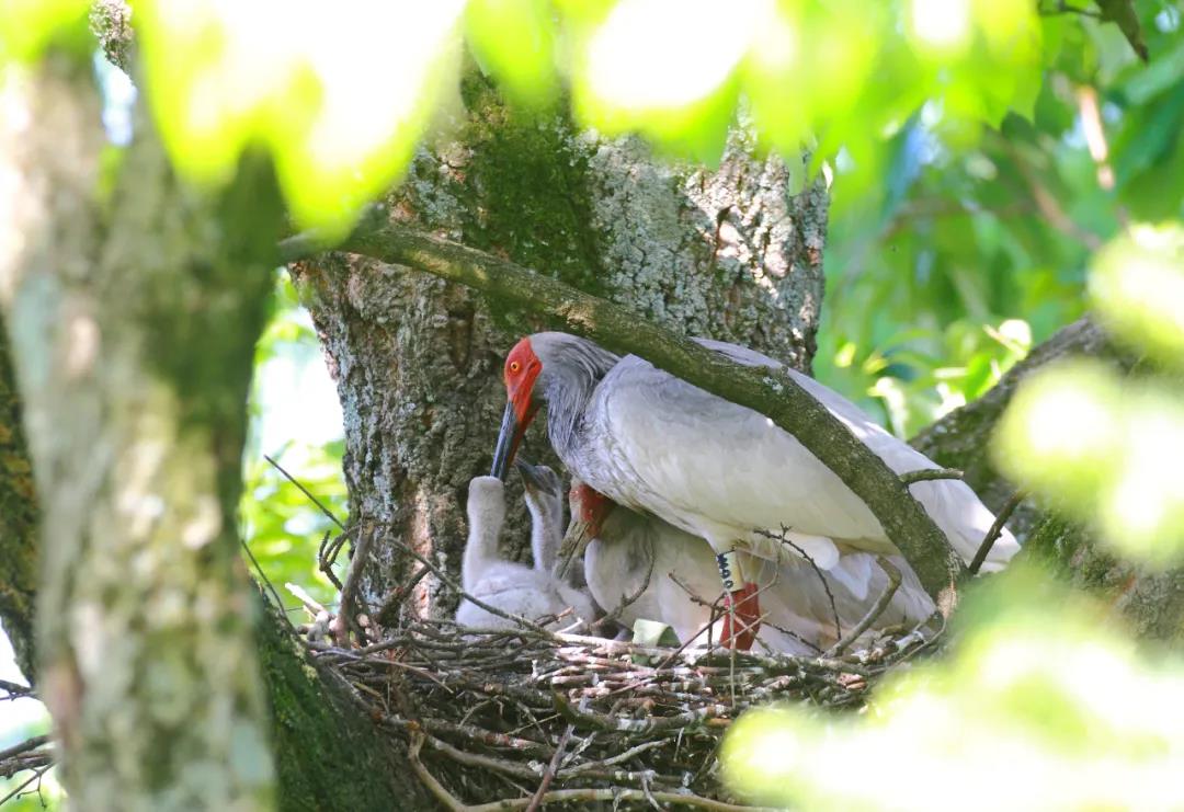 1638346812701227.jpg 微信图片_20211201161957.jpg