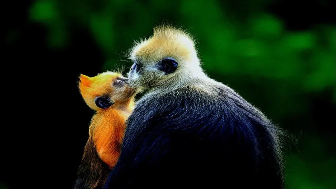 1638346816353464.jpg 微信图片_20211201162000.jpg