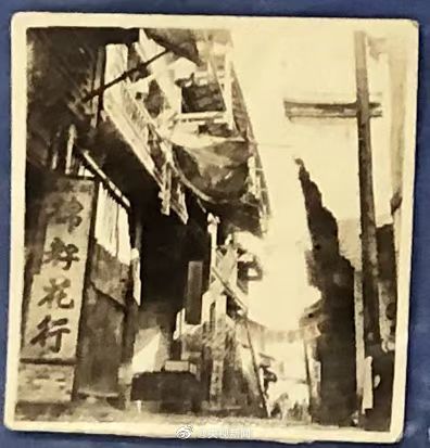 1638353010815000.jpg 09.jpg