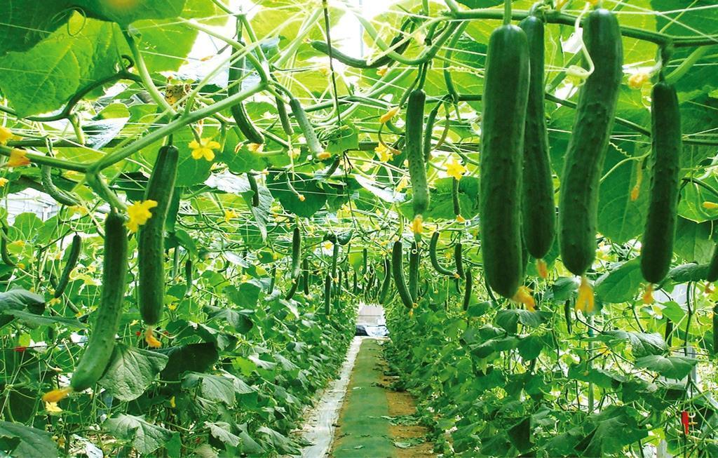 1638971107883255.jpg 4.jpg