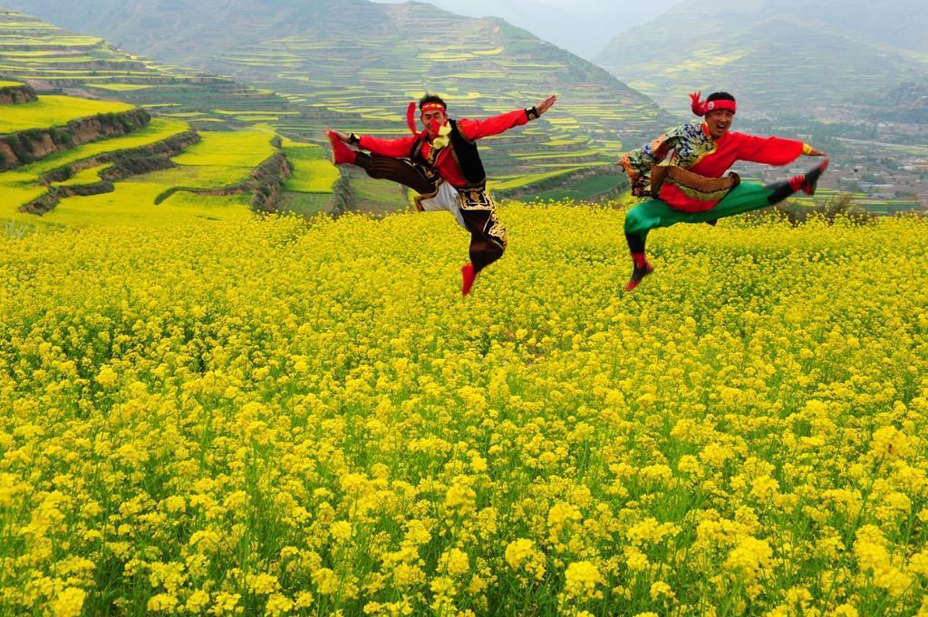 1638971151468462.jpg 8.jpg