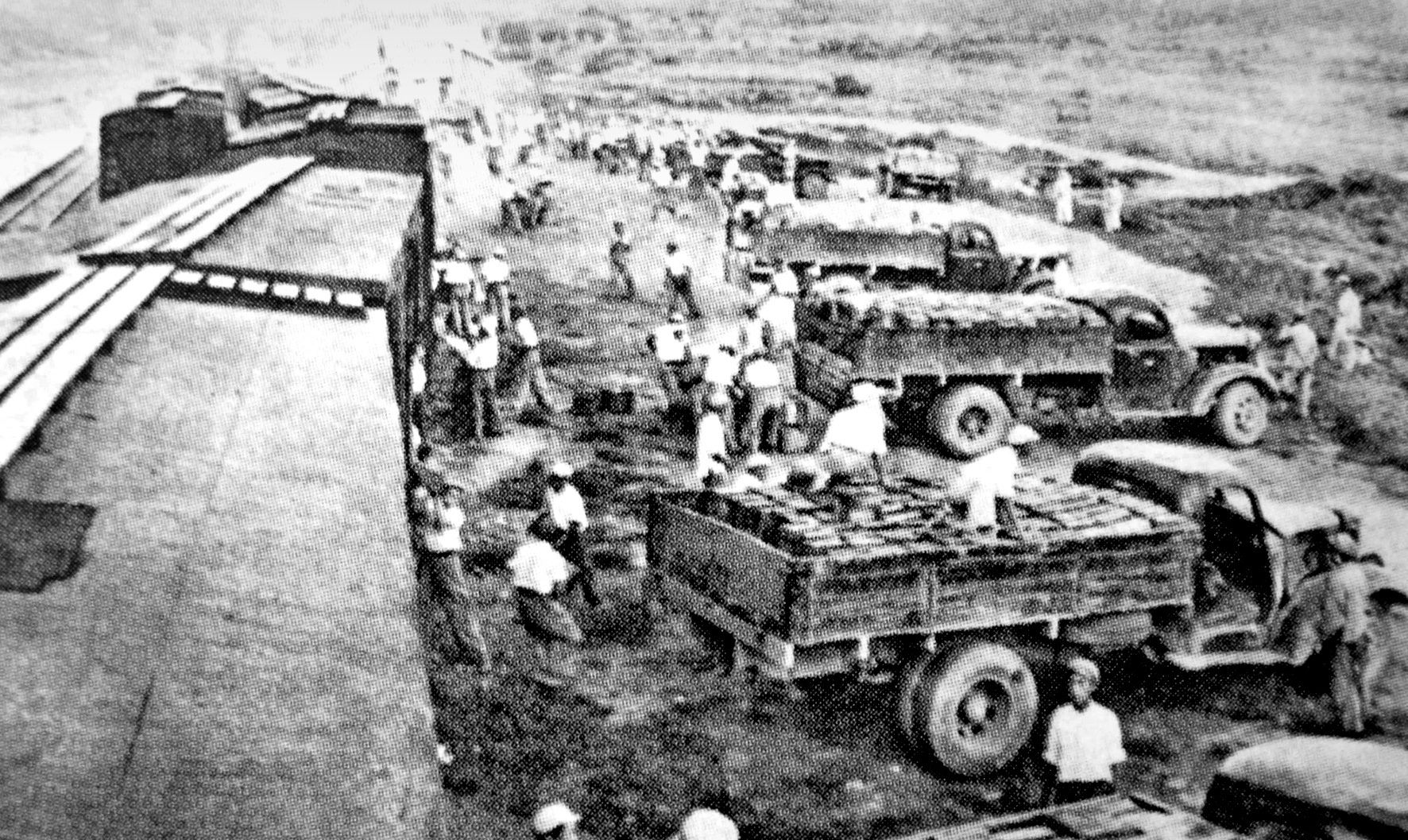 1639004014856393.jpg 未标题-1.jpg