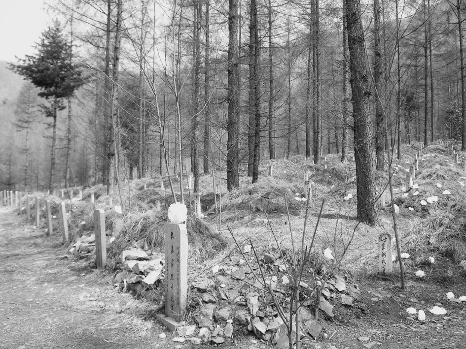 1639004135945989.jpg 集安市抗美援朝烈士墓区一角.jpg