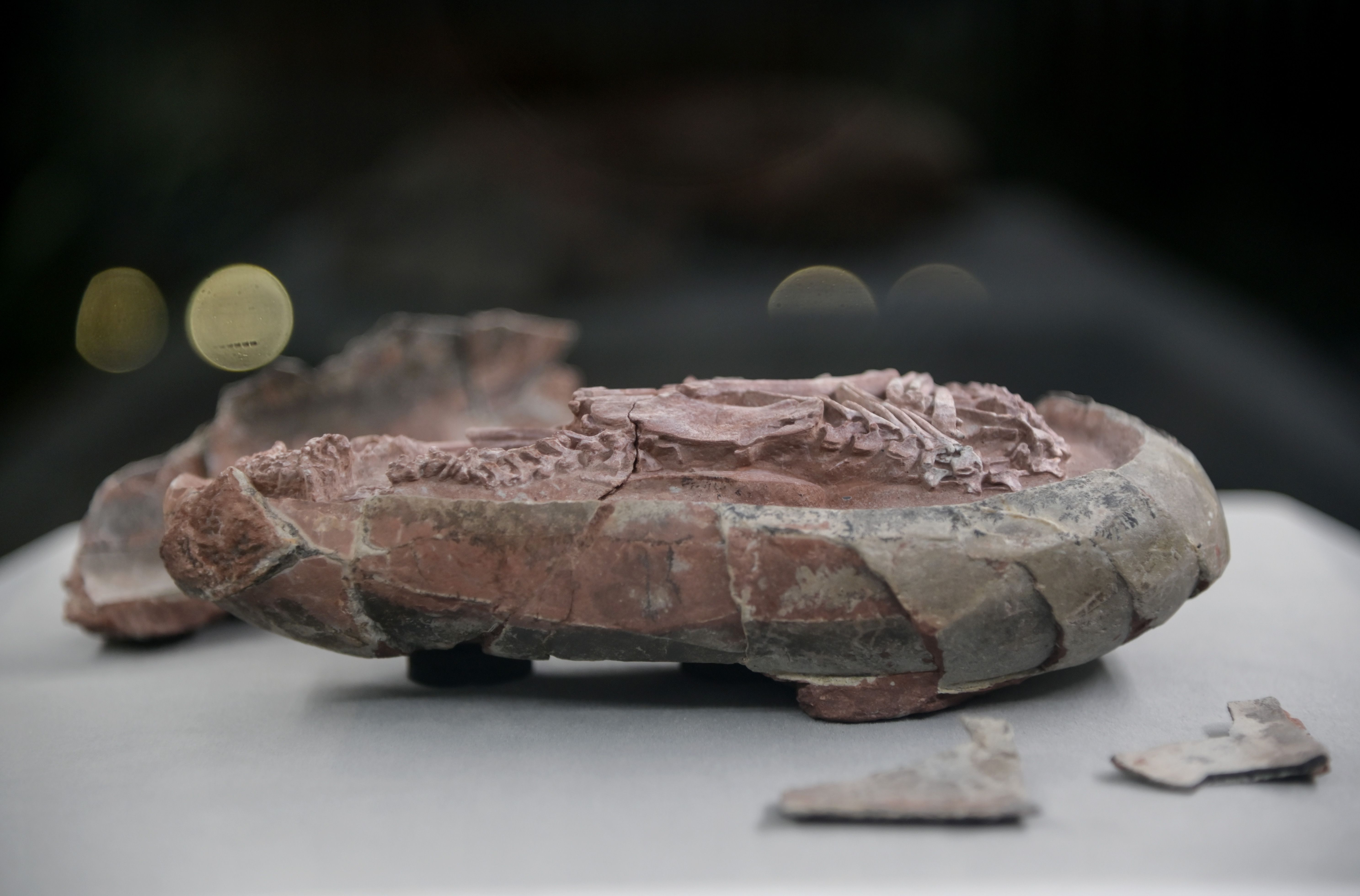 1640056059855027.jpg 微信图片_20211221110250.jpg