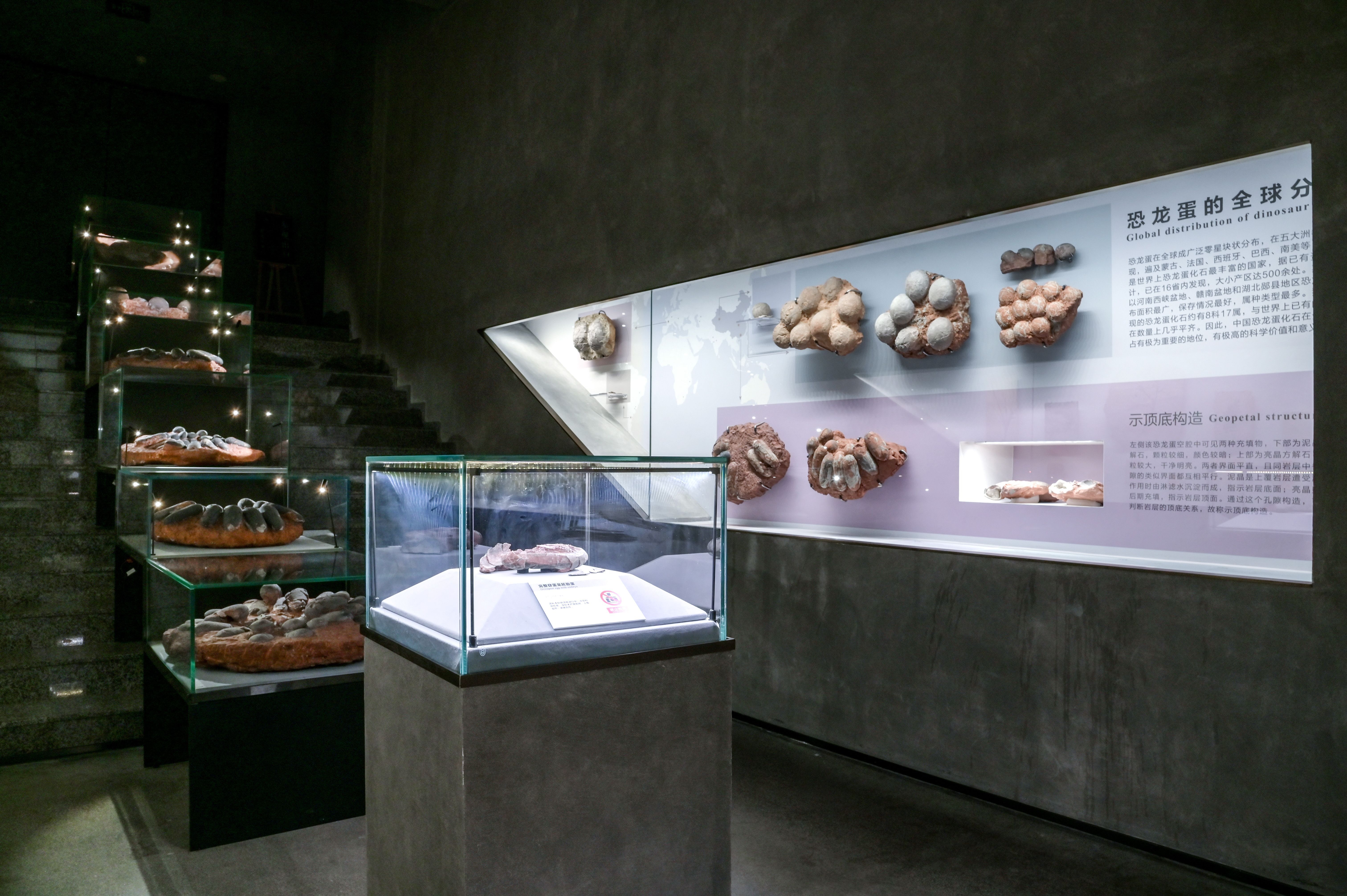 1640056073658364.jpg 微信图片_20211221110303.jpg