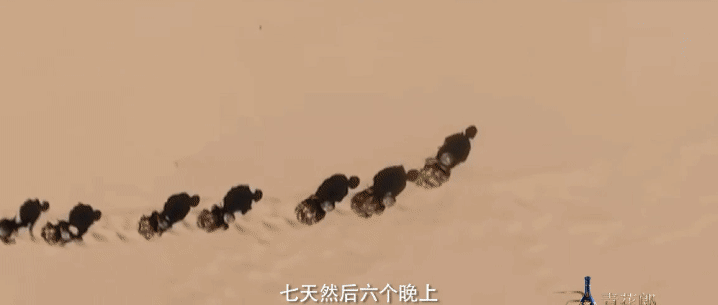 1640233912659996.gif 微信图片_20211223123124.gif