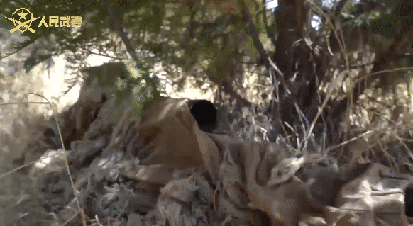 1640233955959605.gif 微信图片_20211223123218.gif