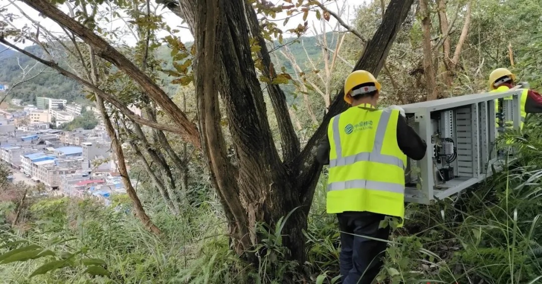 1640830158368944.jpg 2.jpg