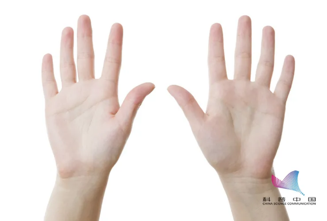 1641565485668657.png image.png