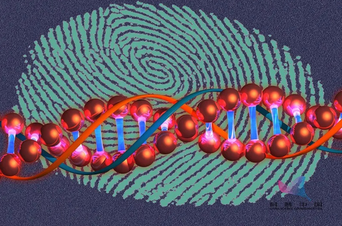 1641565455747830.png image.png