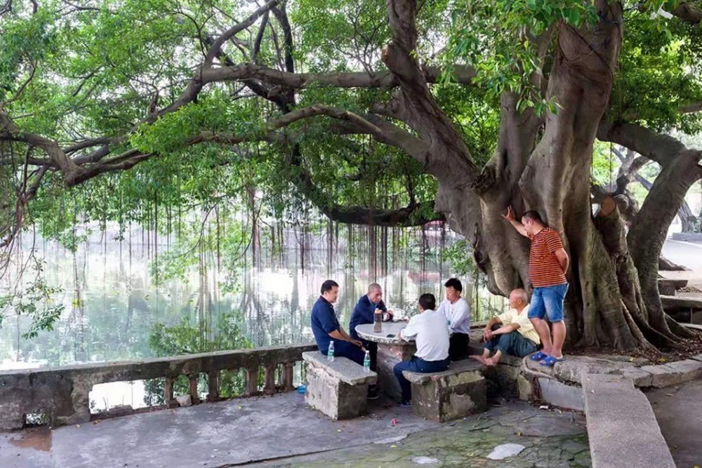 1641650612837996.jpg ae0ed5a8ce3bf15ef8a91f095f970f7.jpg