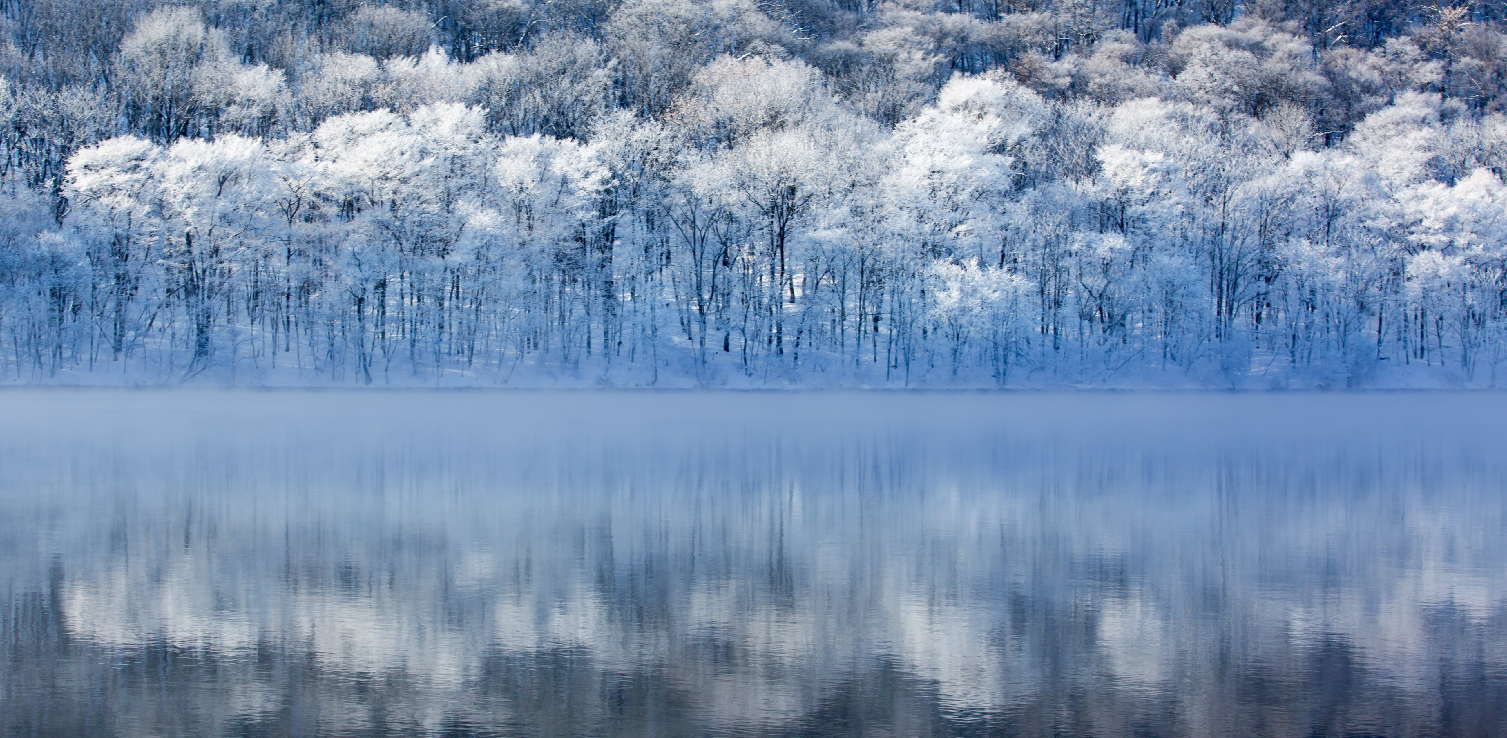 1641657921181962.jpg 微信图片_20181214151759.jpg