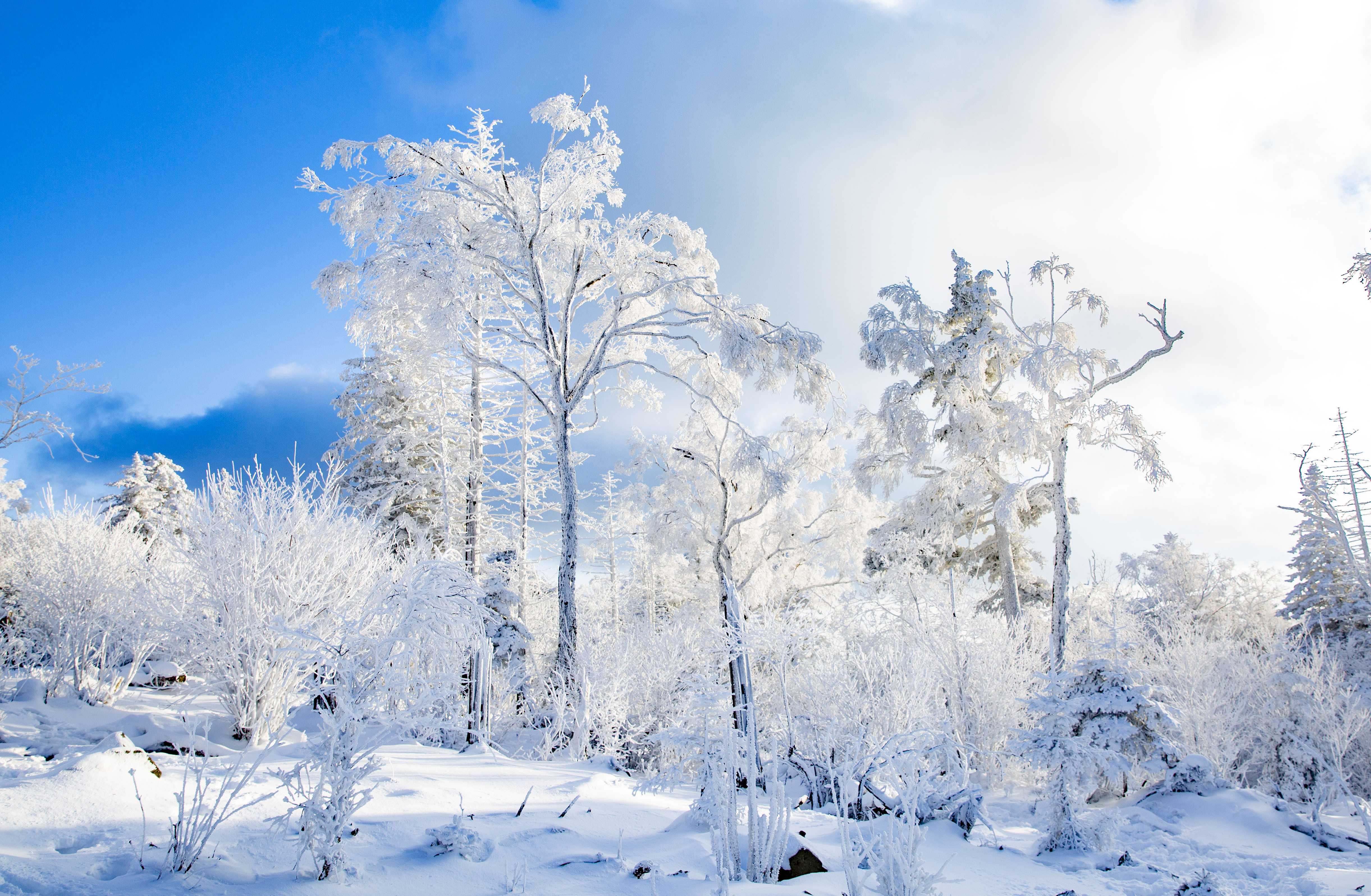 1641657962858568.jpg 微信图片_20211227123559.jpg