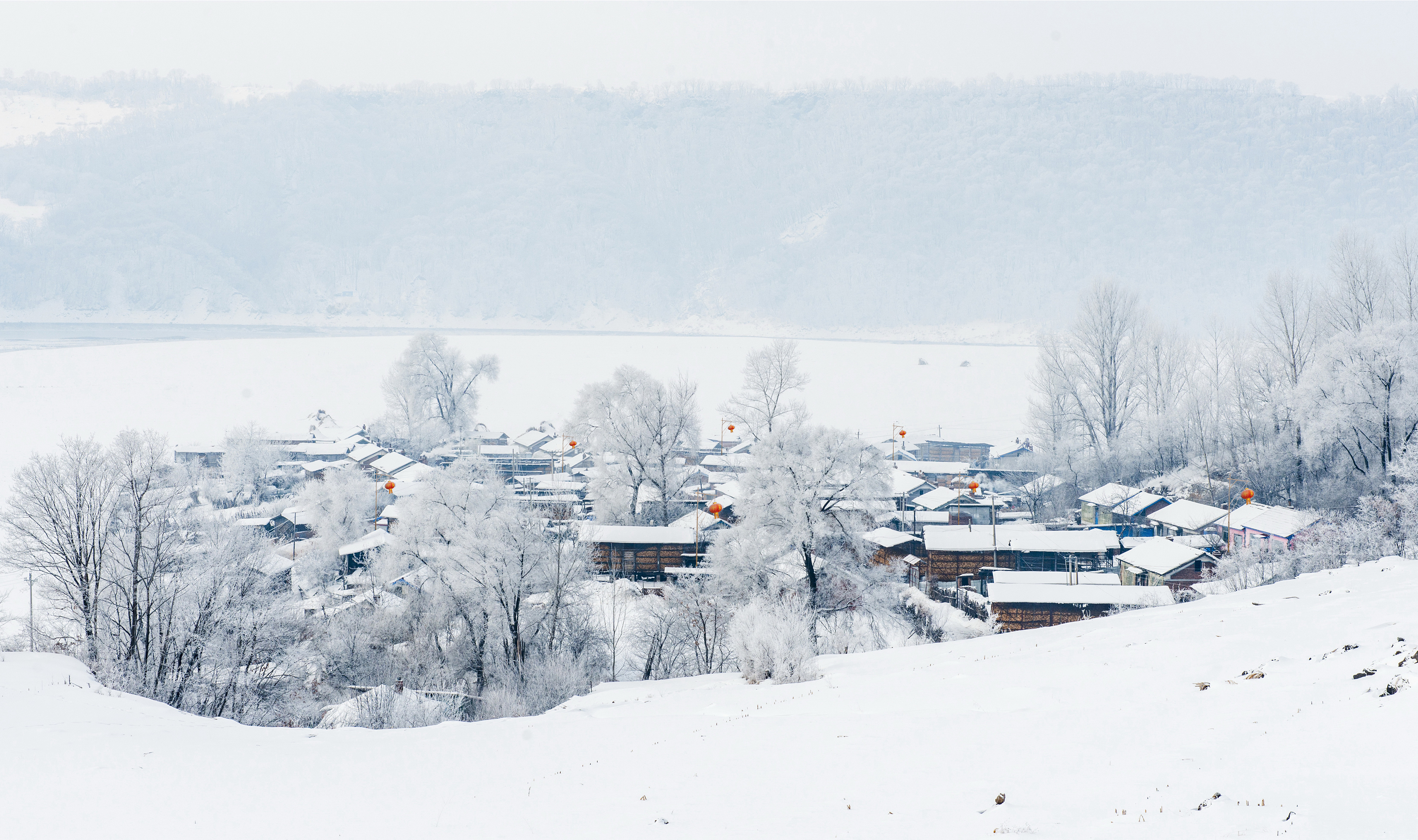 1641658035596894.jpg 微信图片_20181214151427.jpg