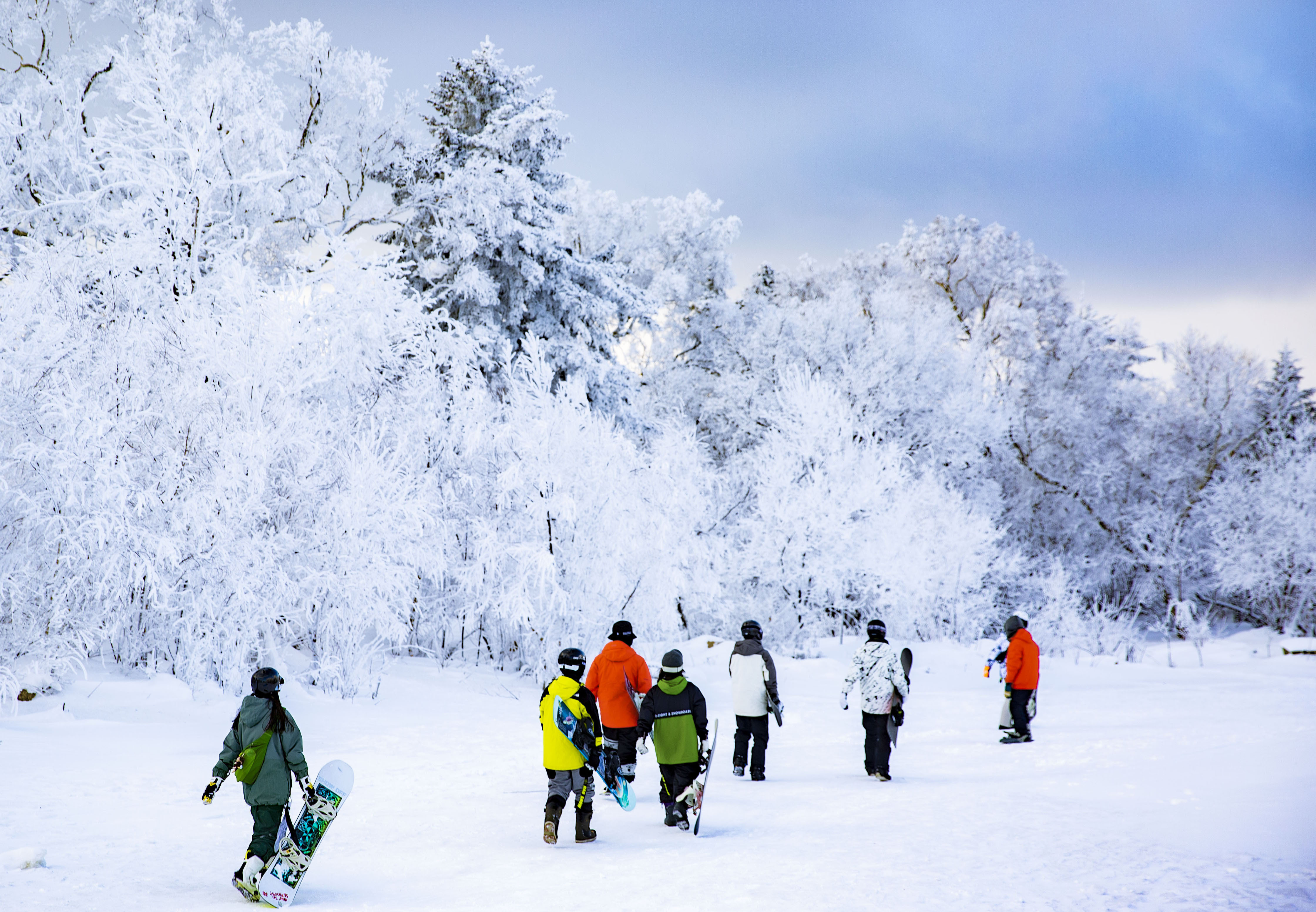 1641658059795935.jpg 微信图片_20211227123555.jpg