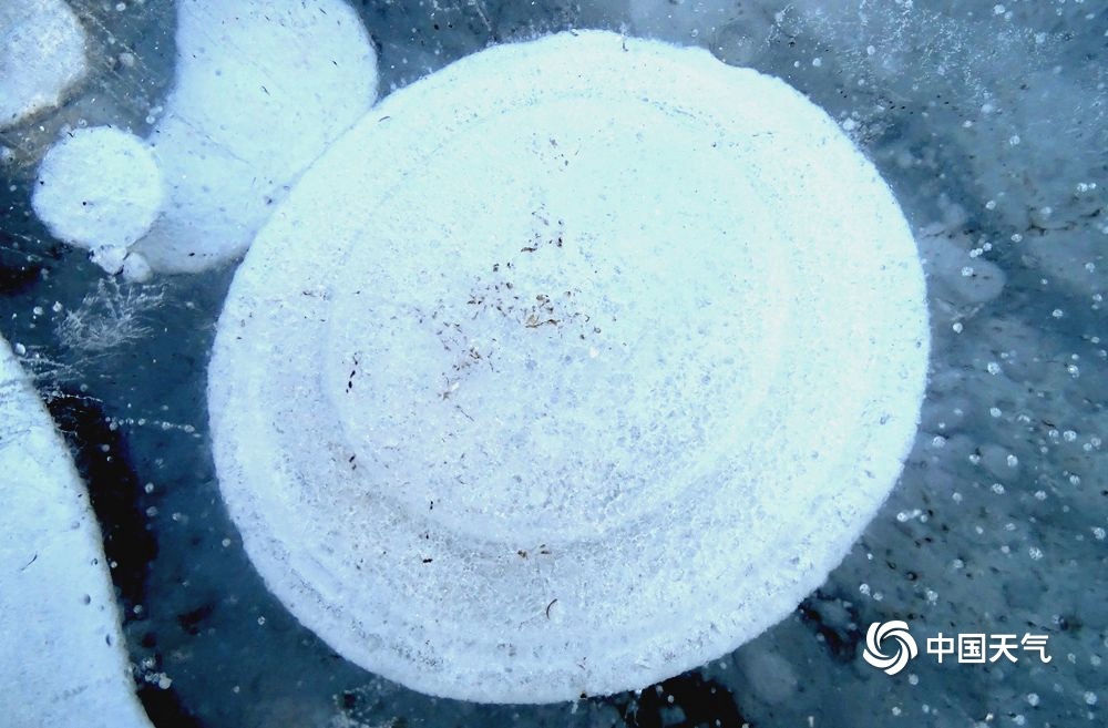 20220109094214D944E3117EBCD442EBE3D9DDC1F2D481 3.jpg