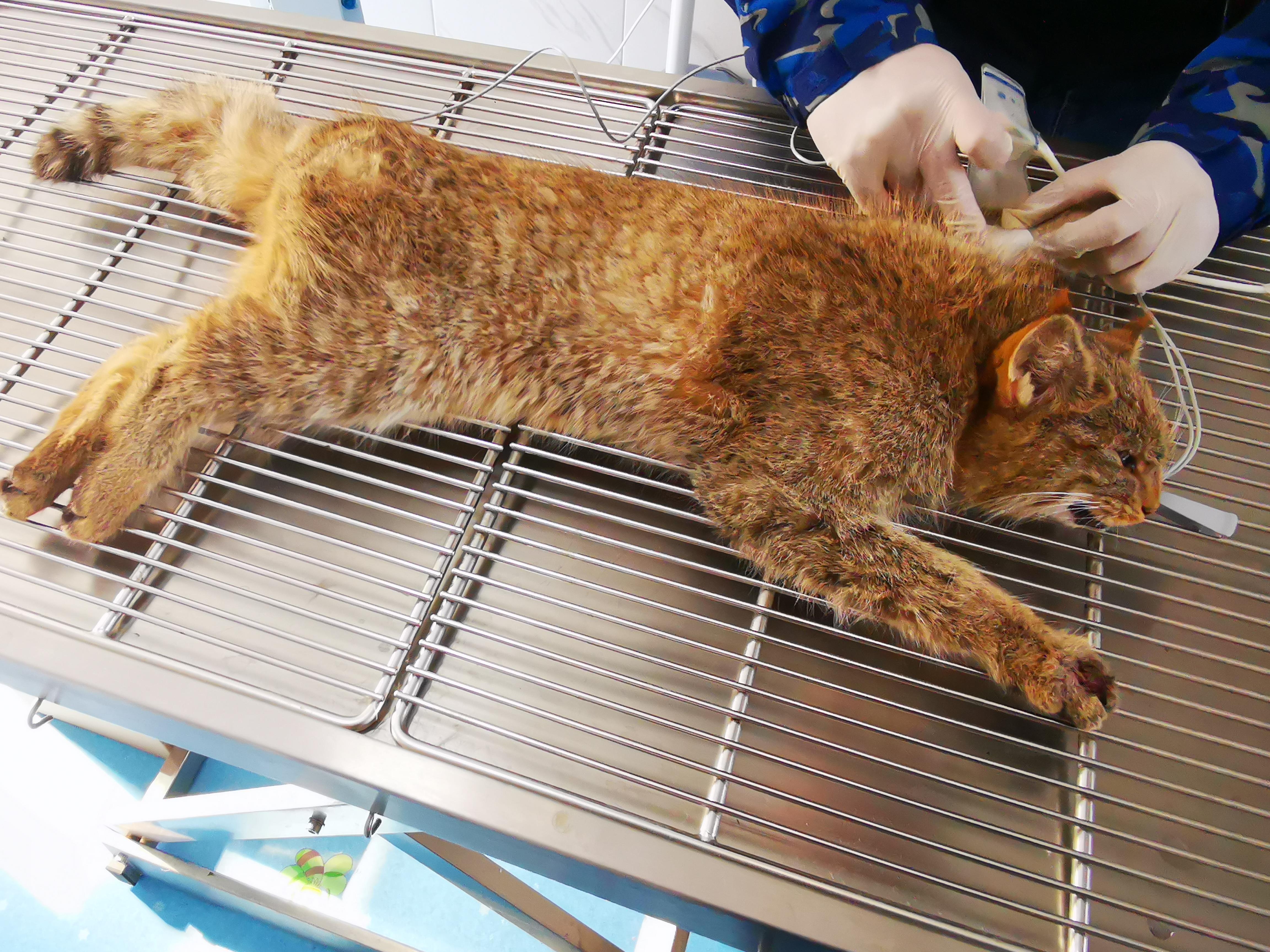 1642493189246253.jpg 20220118125624646.jpg