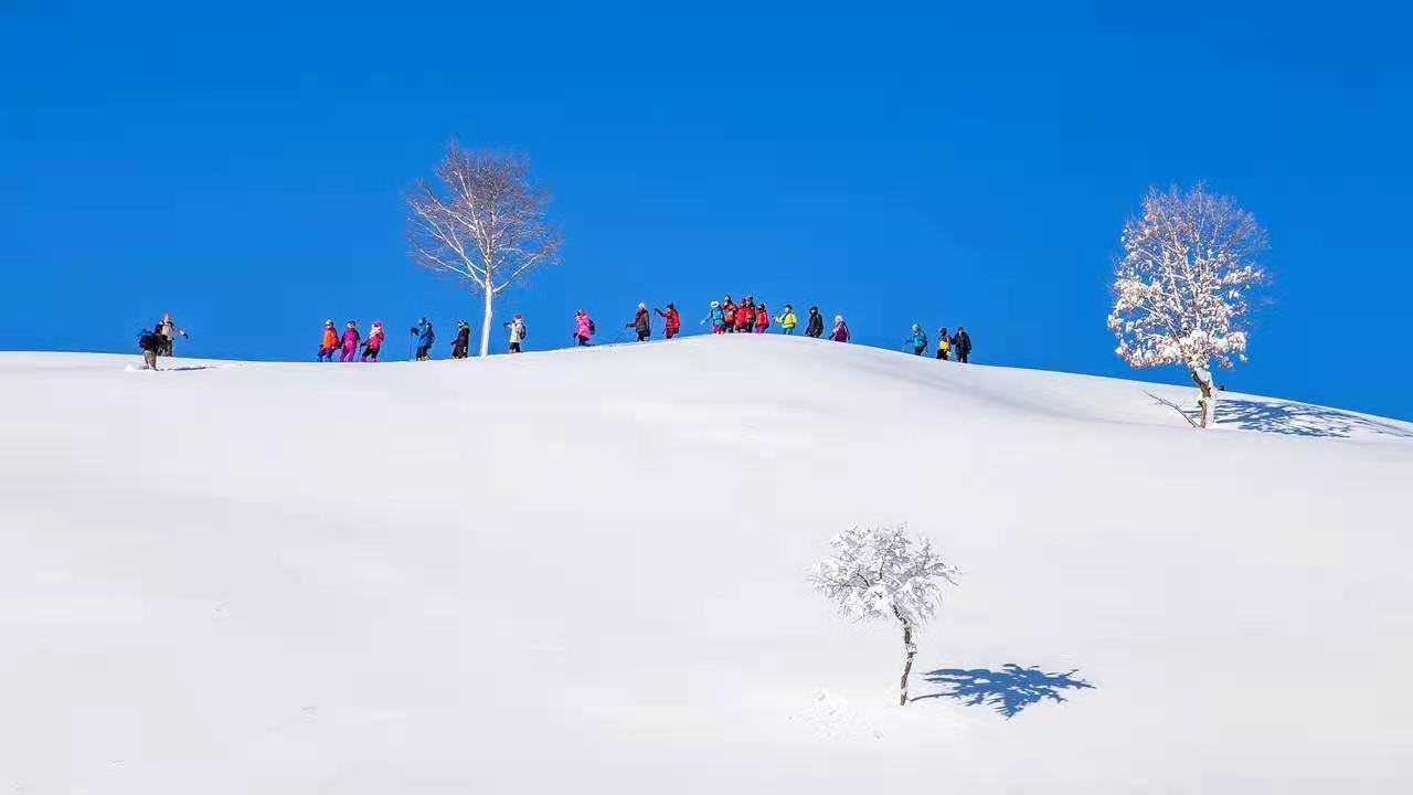 1643802807162317.jpg 097424adf040c0f8ae829f2cc475309.jpg