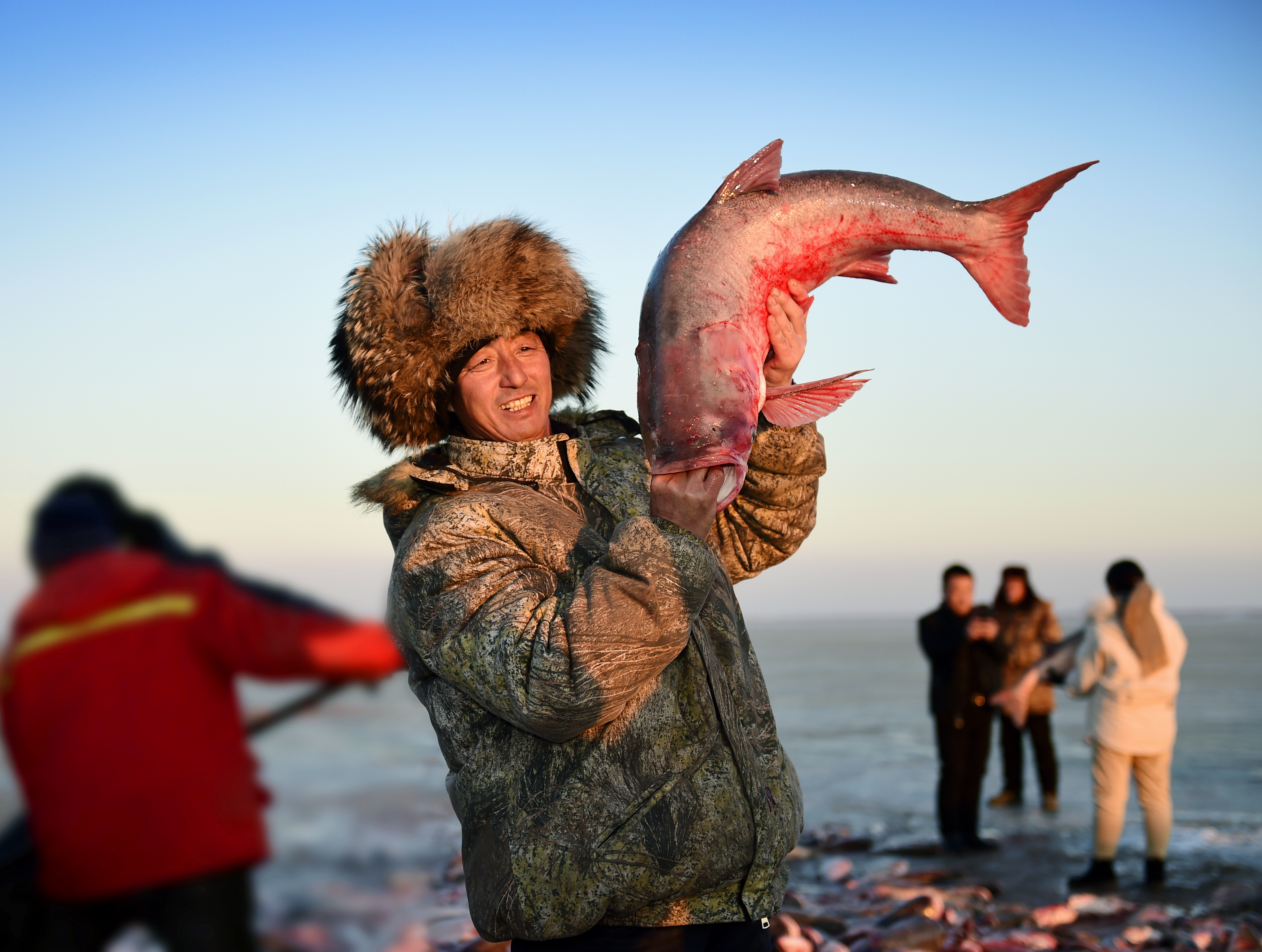 1643969588755851.png image.png