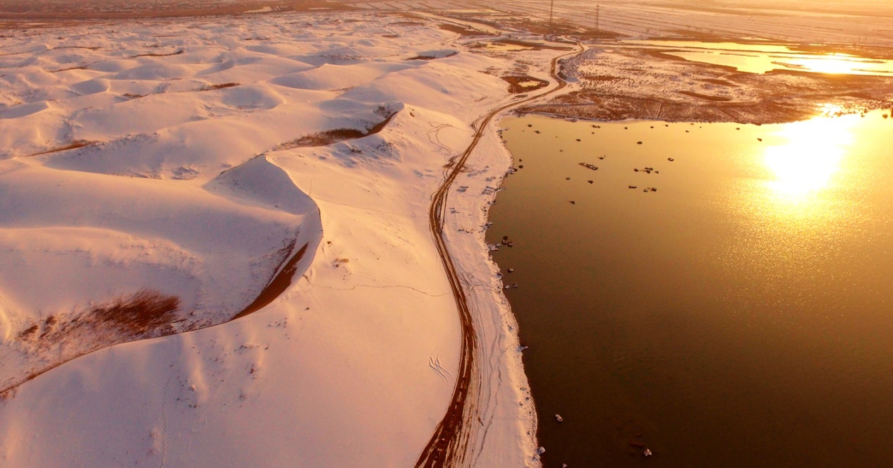 1645059573318154.png 图片1.png