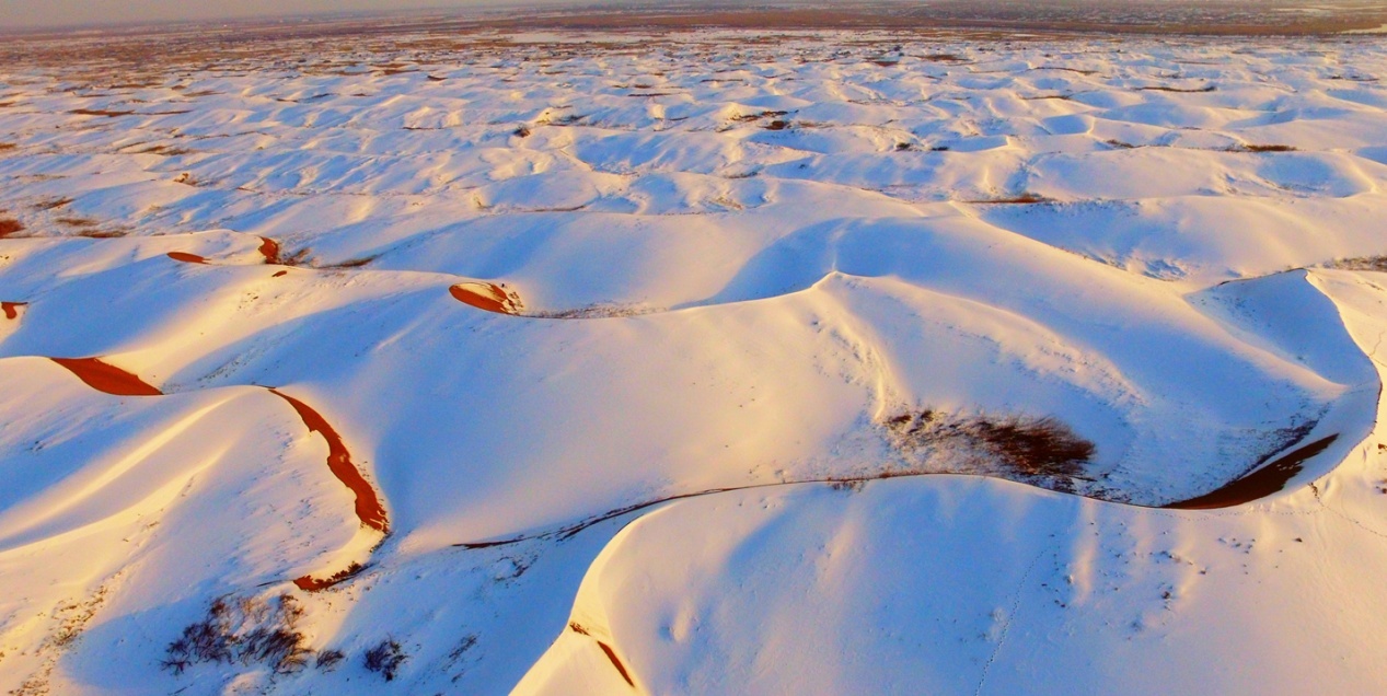 1645059578371892.png 图片2.png