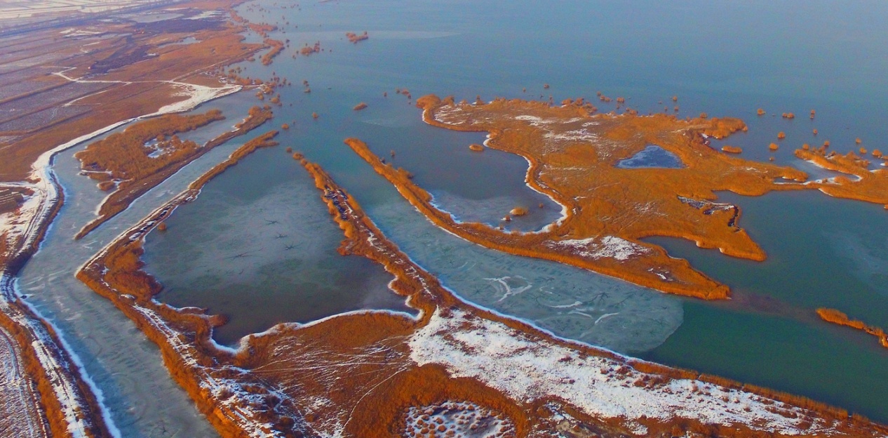 1645059626780322.png 图片3.png