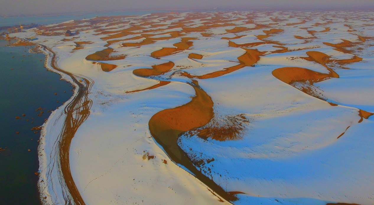 1645059679571486.png 图片6.png