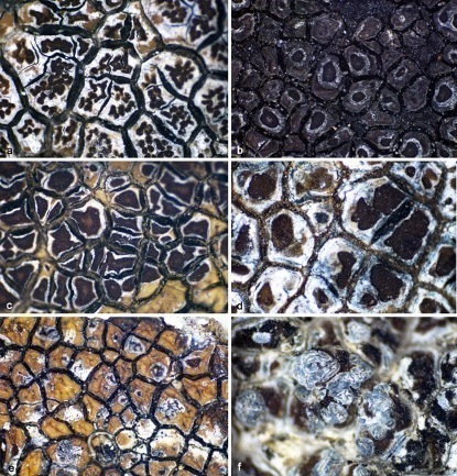 1645181571726971.jpg 图片3 1.jpg