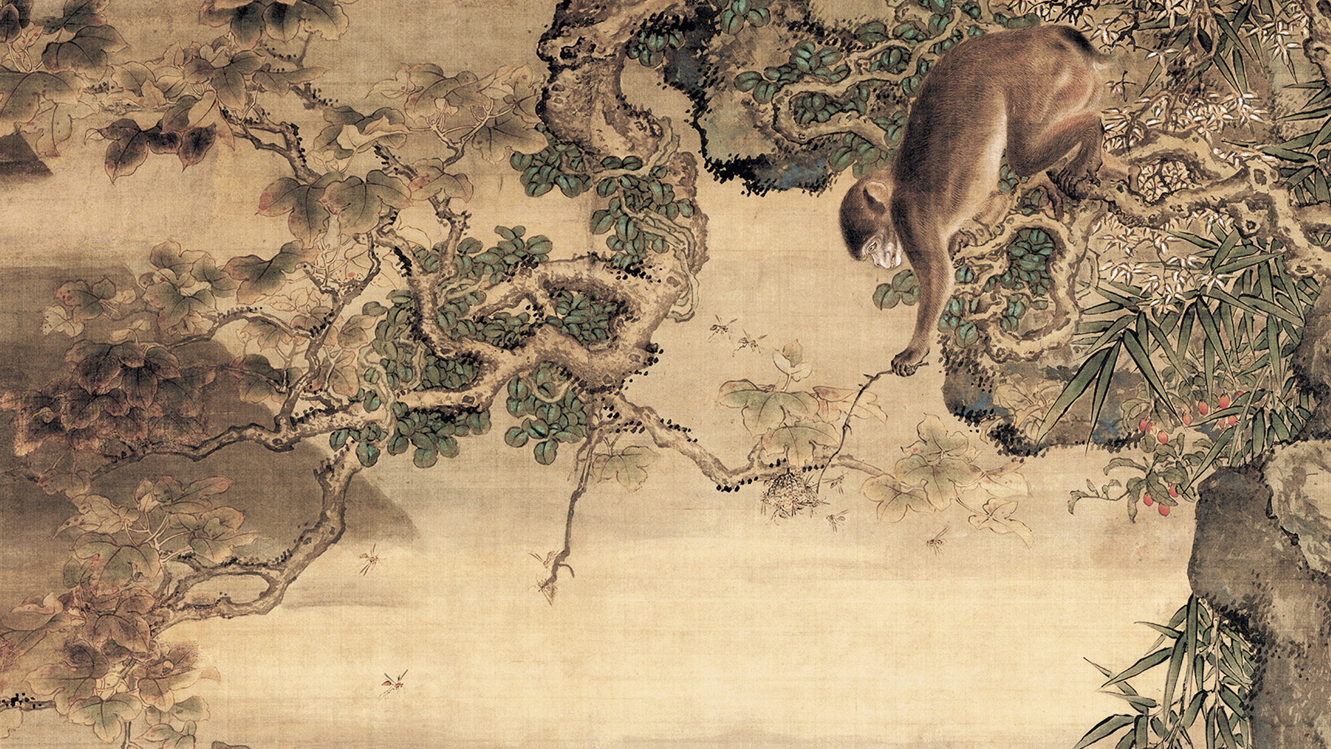 国宝细节鉴赏蜂猴图