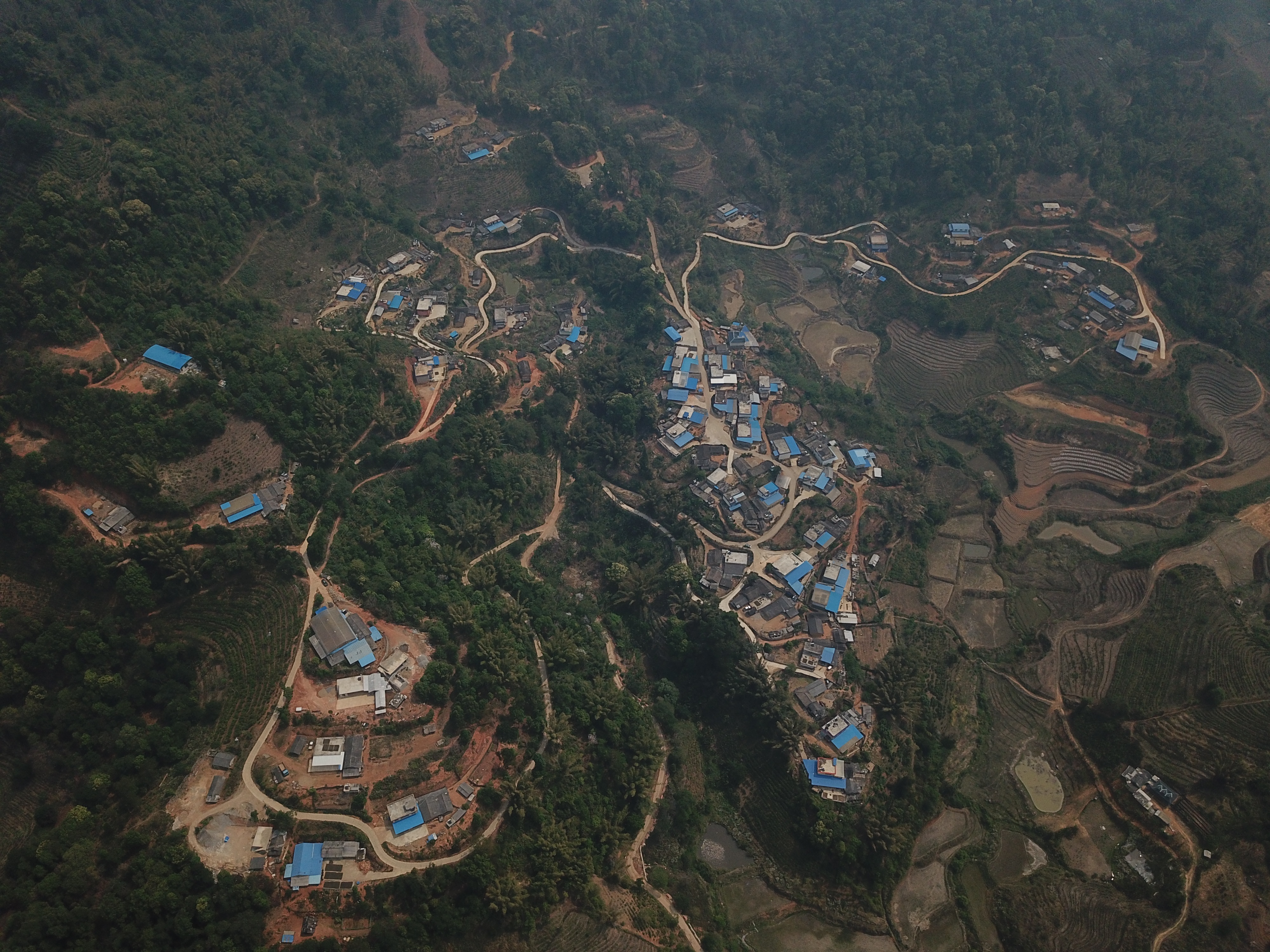贺建村茶是云南省西双版纳傣族自治州勐海县勐阿镇贺建村致富的"金