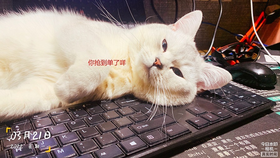 4.jpg?x-oss-process=style/w10