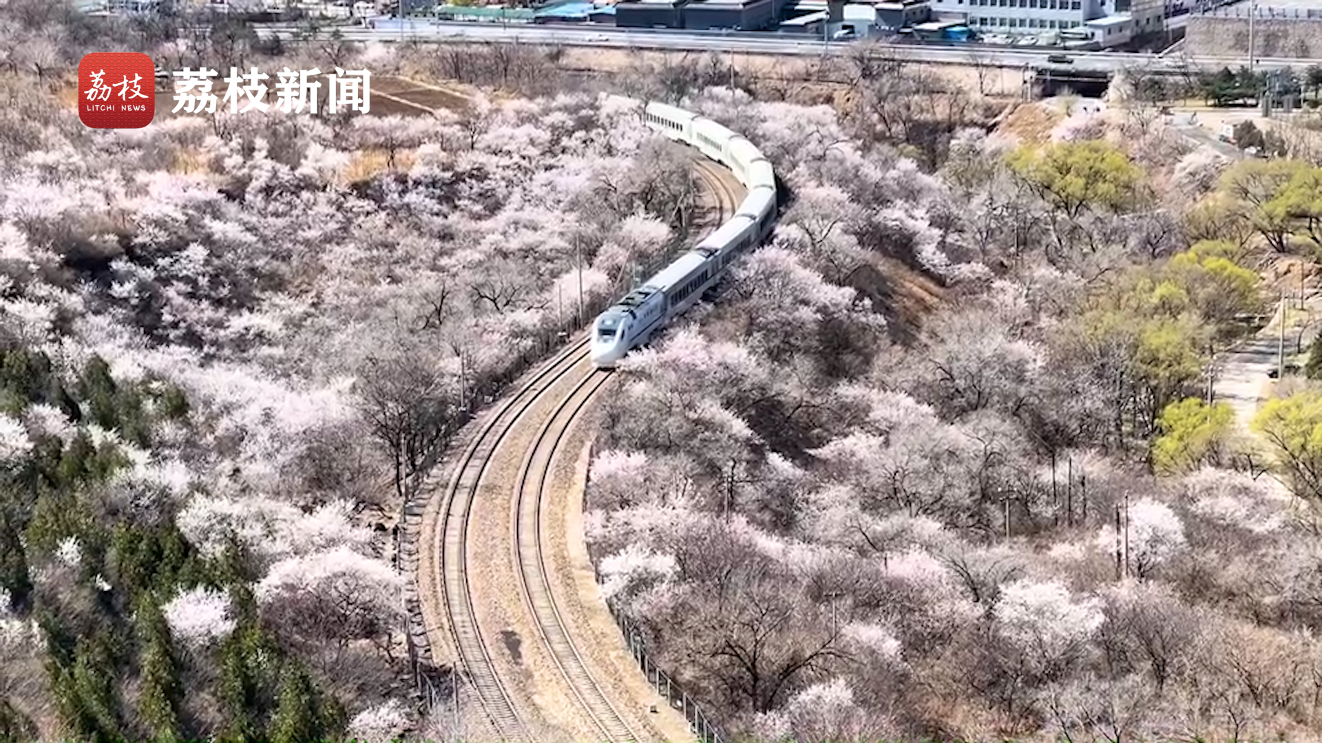 开往春天的列车居庸关长城脚下列车穿越花海