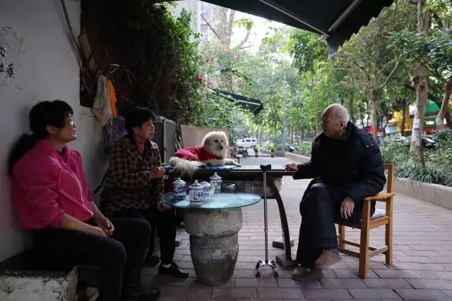 1650261964666975.jpg 微信图片_20220418140559.jpg