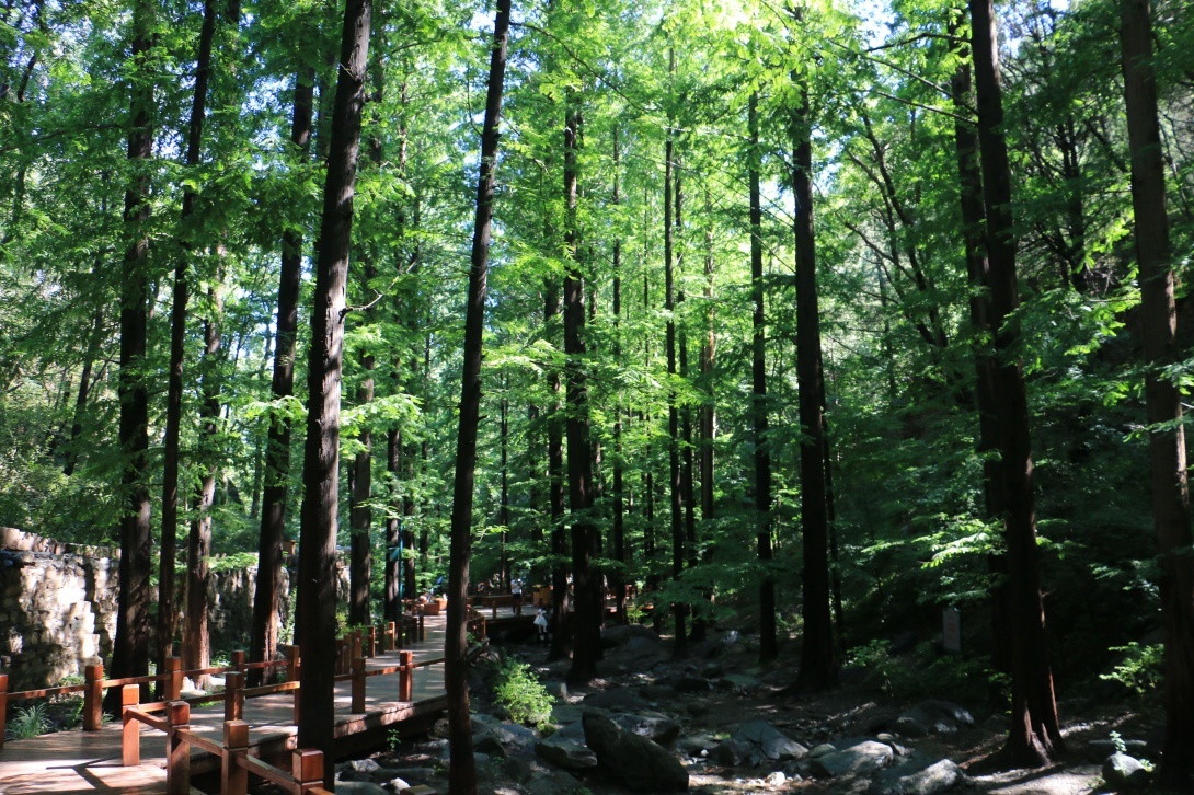 1650250351993805.png 微信截图_20220418105155.png