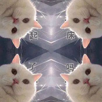 1650677401935508.png 有14.png