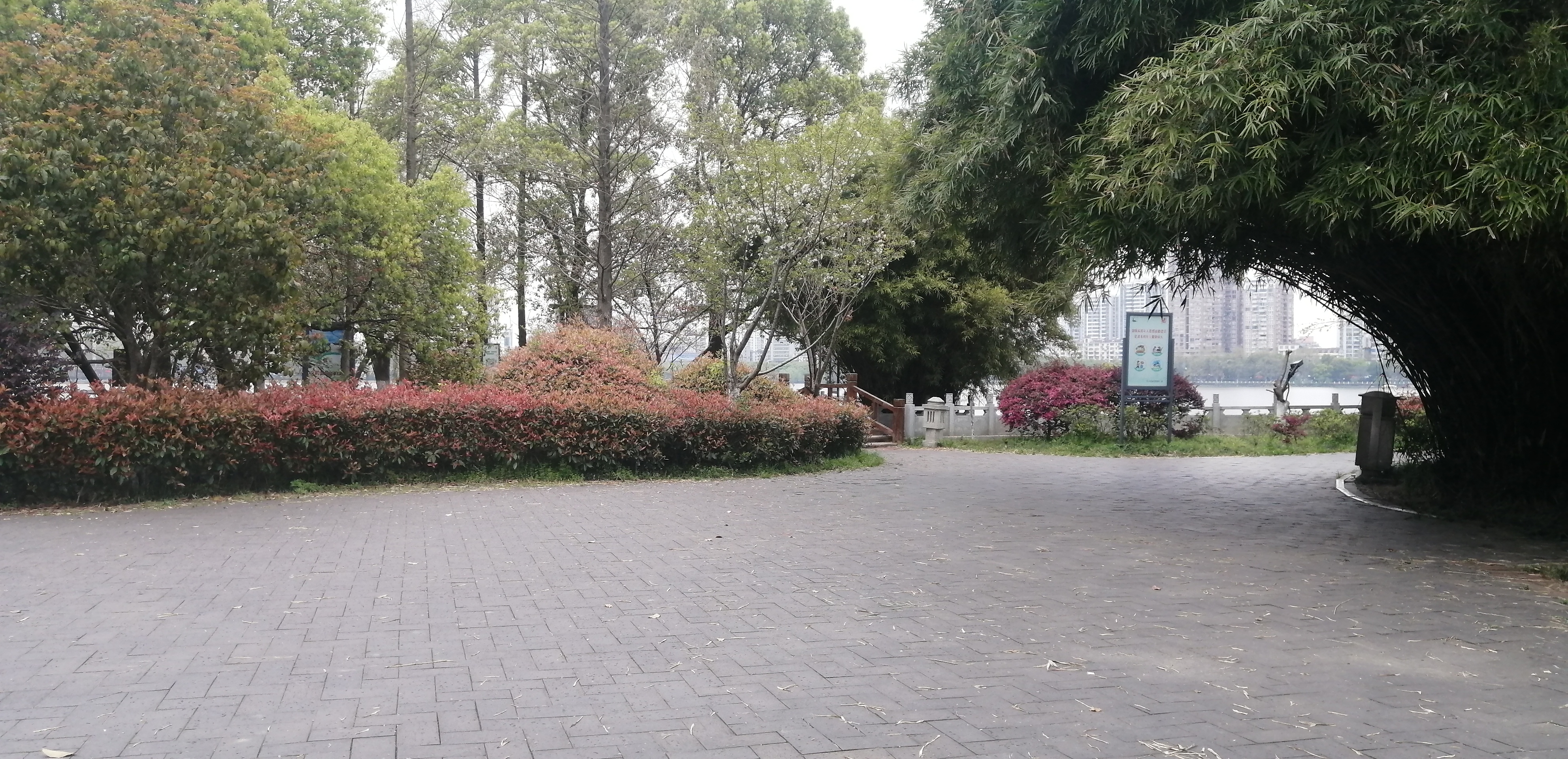 九江风光甘棠湖公园小岛美景