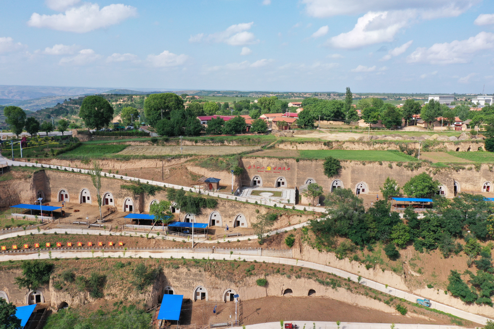 黄寨镇甘庄村窑洞养牛示范带.jpg?x-oss-process=style/w10