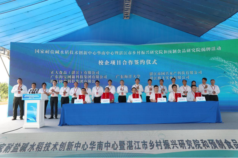 1651311512631339.png image.png