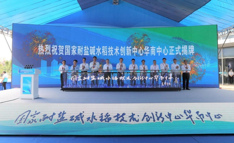 1651311402790407.png image.png