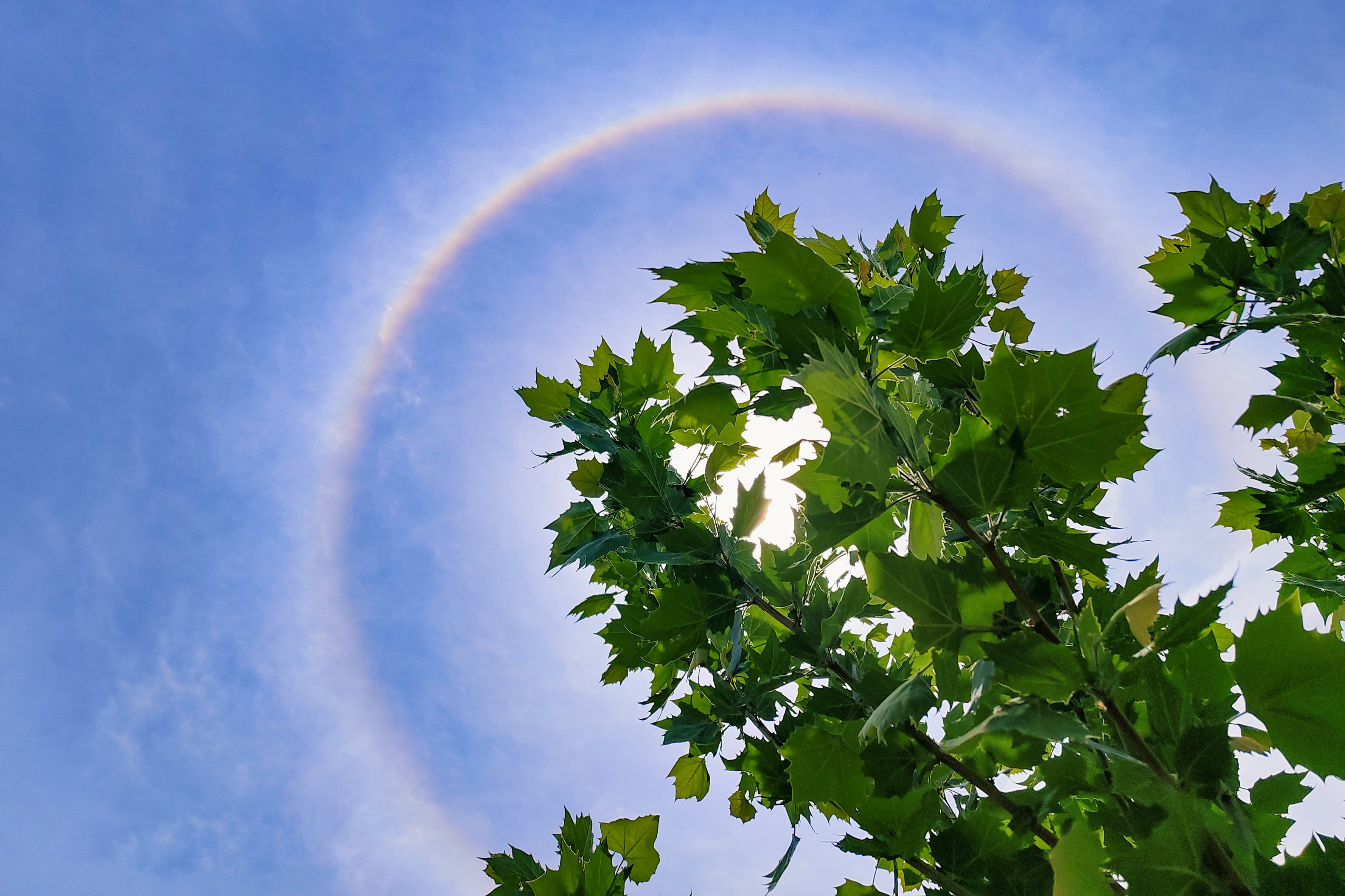 壁纸级北京绝美日晕照片
