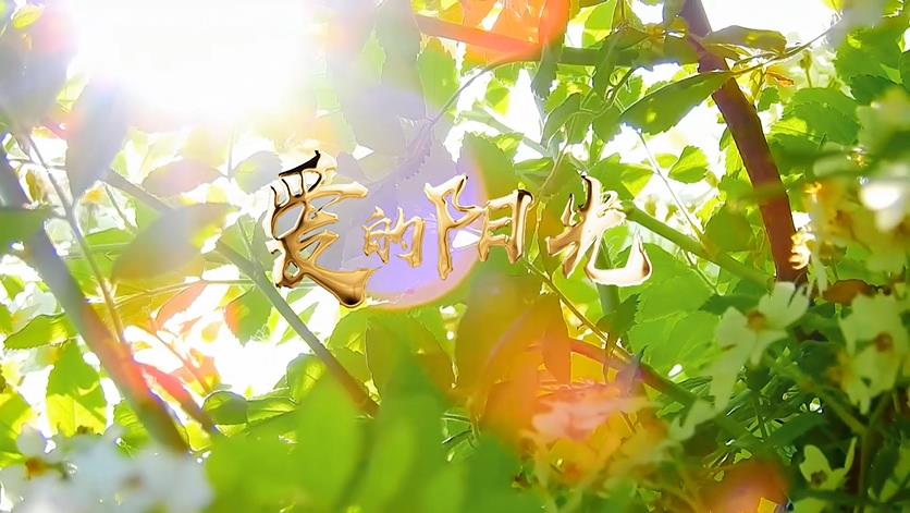 手语mv爱的阳光携手同行向未来