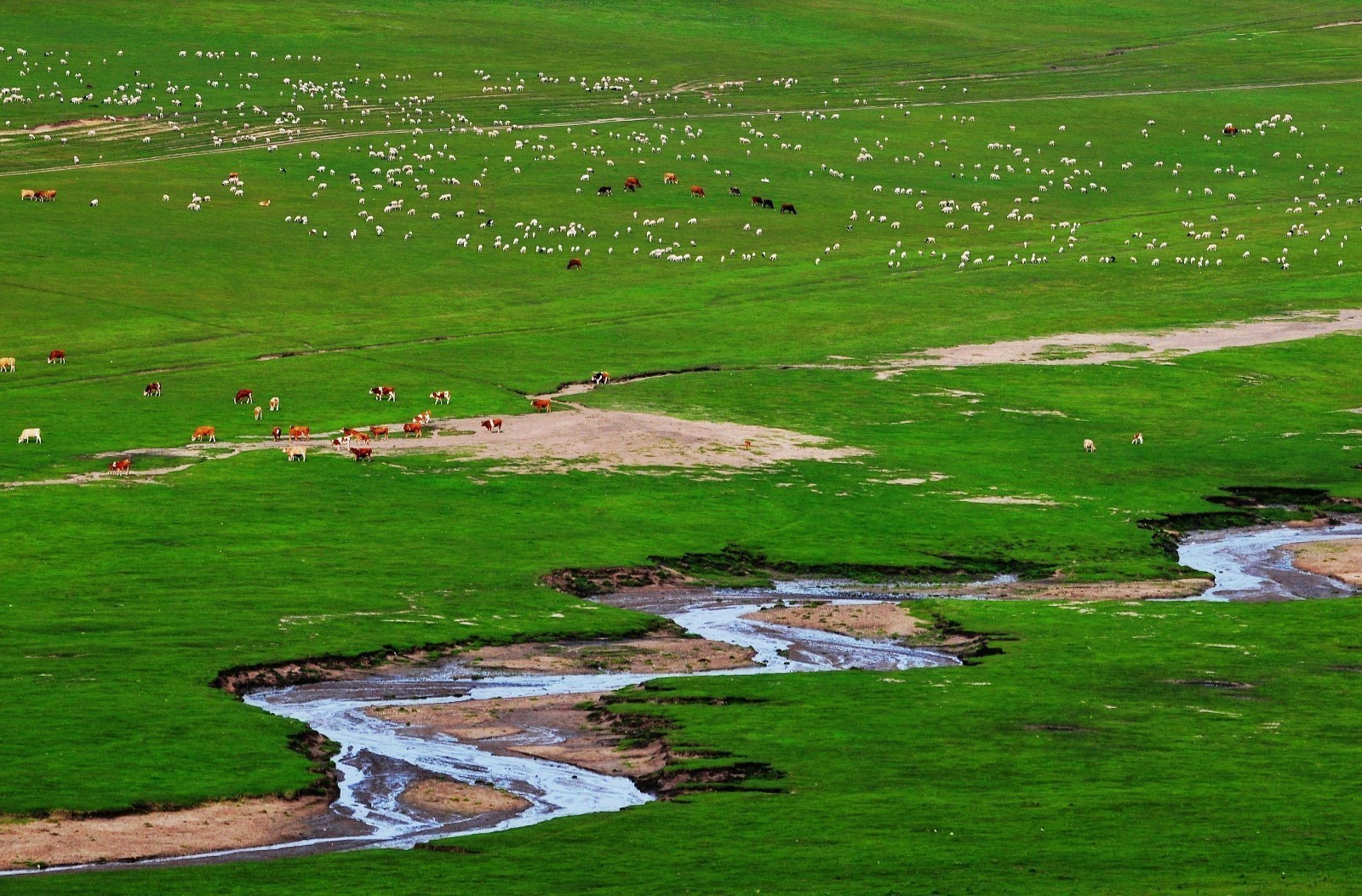 科尔沁草原旅游景点图片