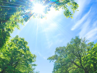 1653092452521416.png 小满.png