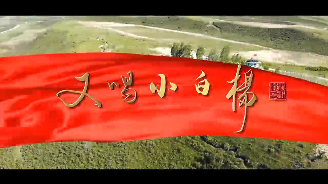 又唱小白杨mv