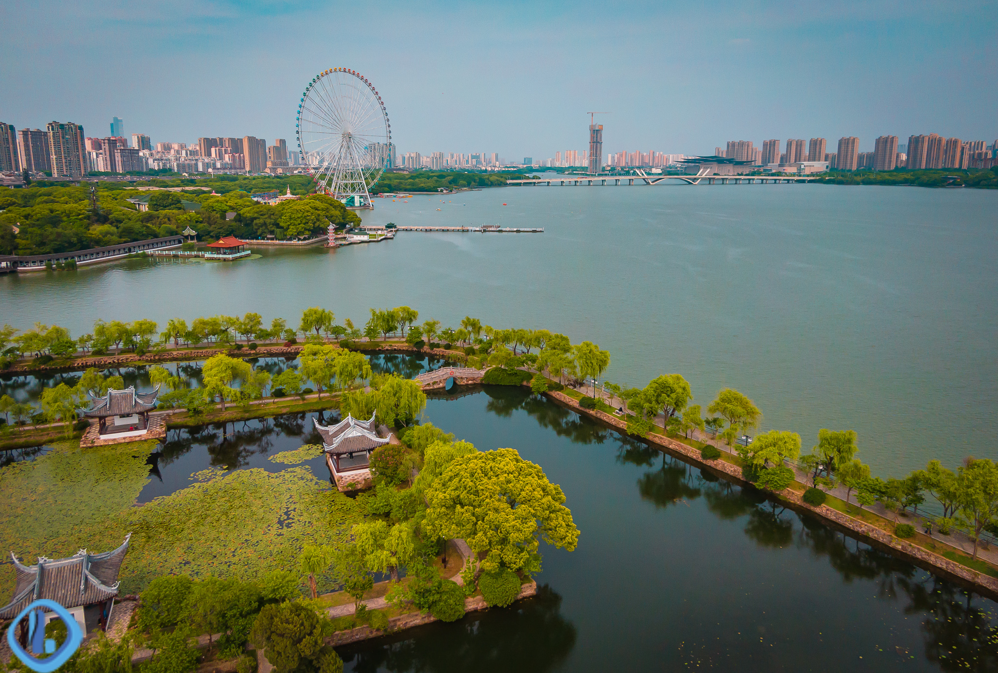 初夏时光探访无锡蠡园见识蠡湖烟绿的光影
