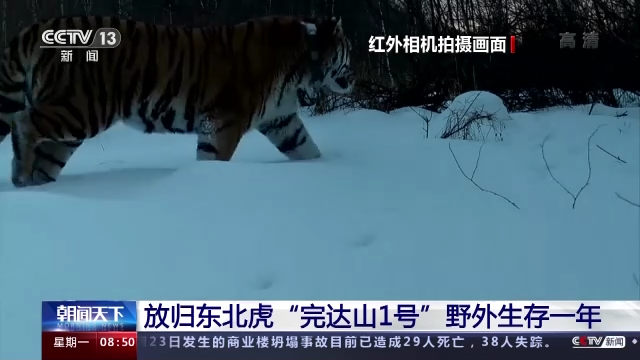 1653878511551705.png df61dca223d44d58ac12f678fd46a756.png