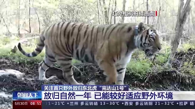 1653878522714554.png 0b529c4a3e864540b3b0eb05f585c75f.png