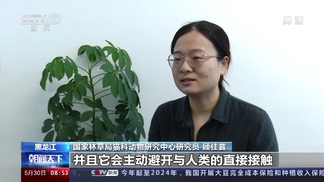 1653878549307237.png 4051221beba34a4294557b51f5097073.png